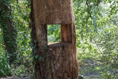 Domaine du Pinsan Eysines sculptures en bois (1).